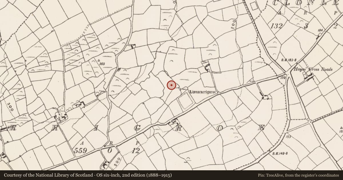 Ordnance Survey six-inch map, 2nd edition (1888–1915) covering the location of Fulacht fia, Carrigroe, County Cork, with a pin at the register's coordinates