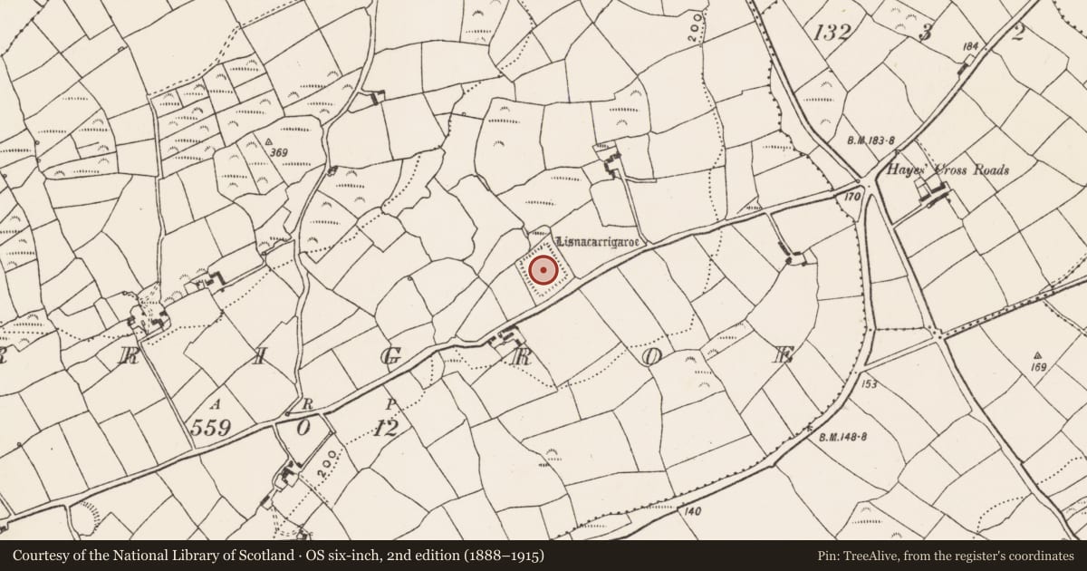 Ordnance Survey six-inch map, 2nd edition (1888–1915) covering the location of Moated site, Carrigroe, County Cork, with a pin at the register's coordinates