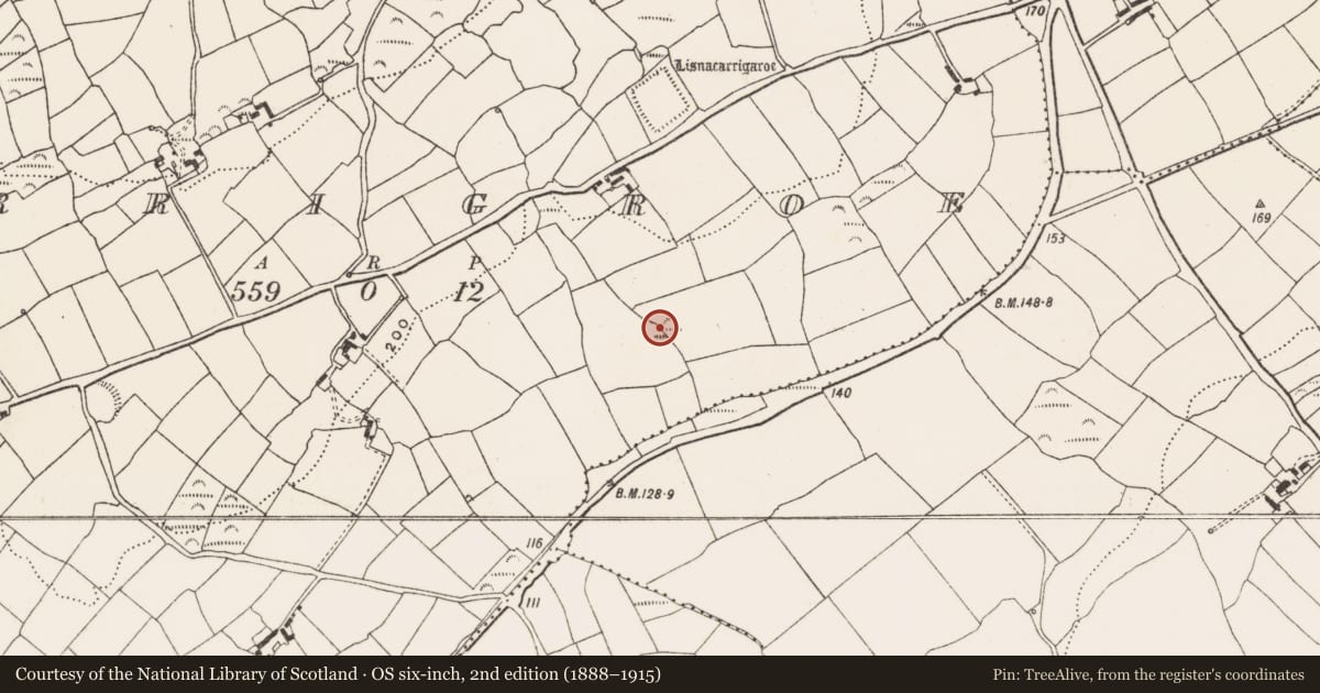 Ordnance Survey six-inch map, 2nd edition (1888–1915) covering the location of Souterrain, Carrigroe, County Cork, with a pin at the register's coordinates