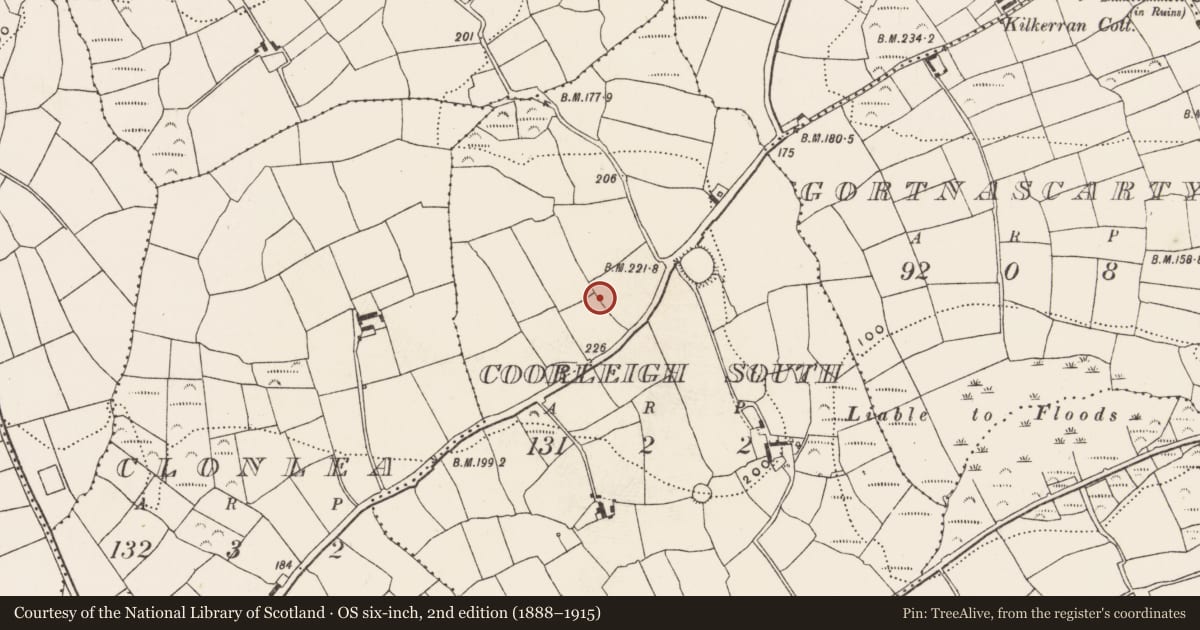 Ordnance Survey six-inch map, 2nd edition (1888–1915) covering the location of Standing stone, Coorleigh South, County Cork, with a pin at the register's coordinates