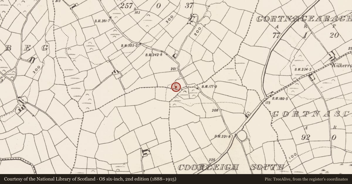 Ordnance Survey six-inch map, 2nd edition (1888–1915) covering the location of Ringfort - rath, Creagh More, County Cork, with a pin at the register's coordinates