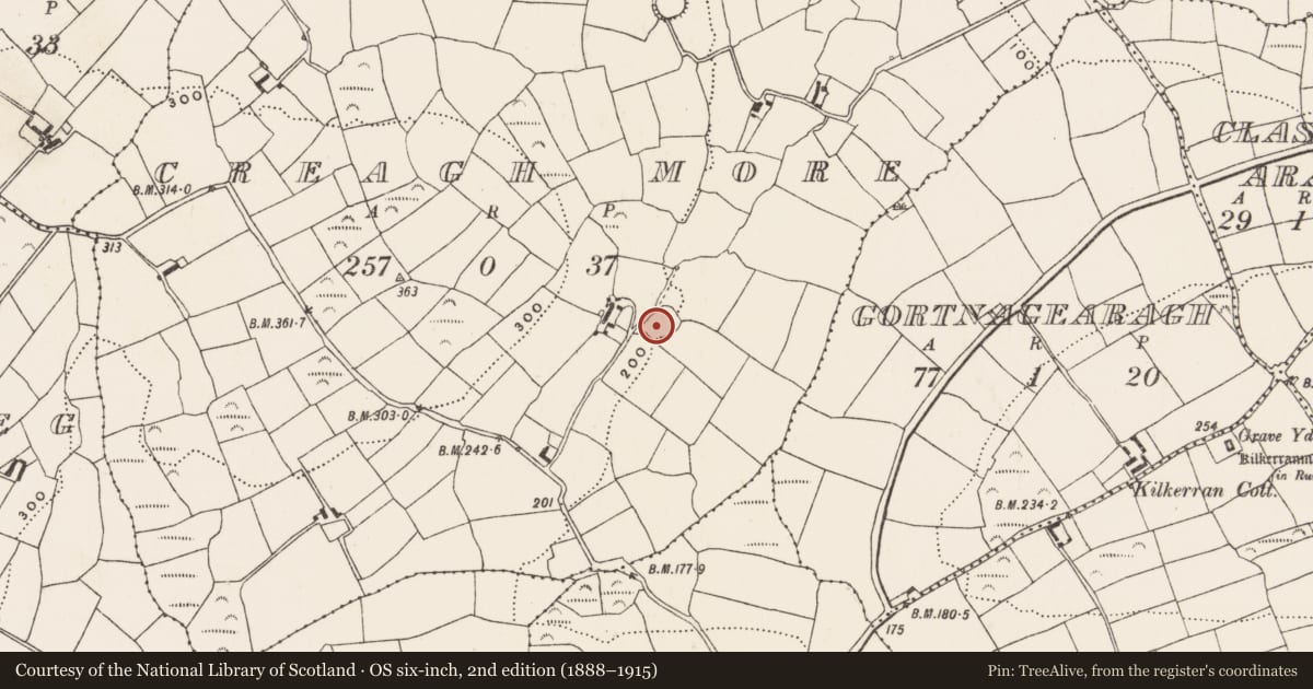 Ordnance Survey six-inch map, 2nd edition (1888–1915) covering the location of Ringfort - rath, Creagh More, County Cork, with a pin at the register's coordinates