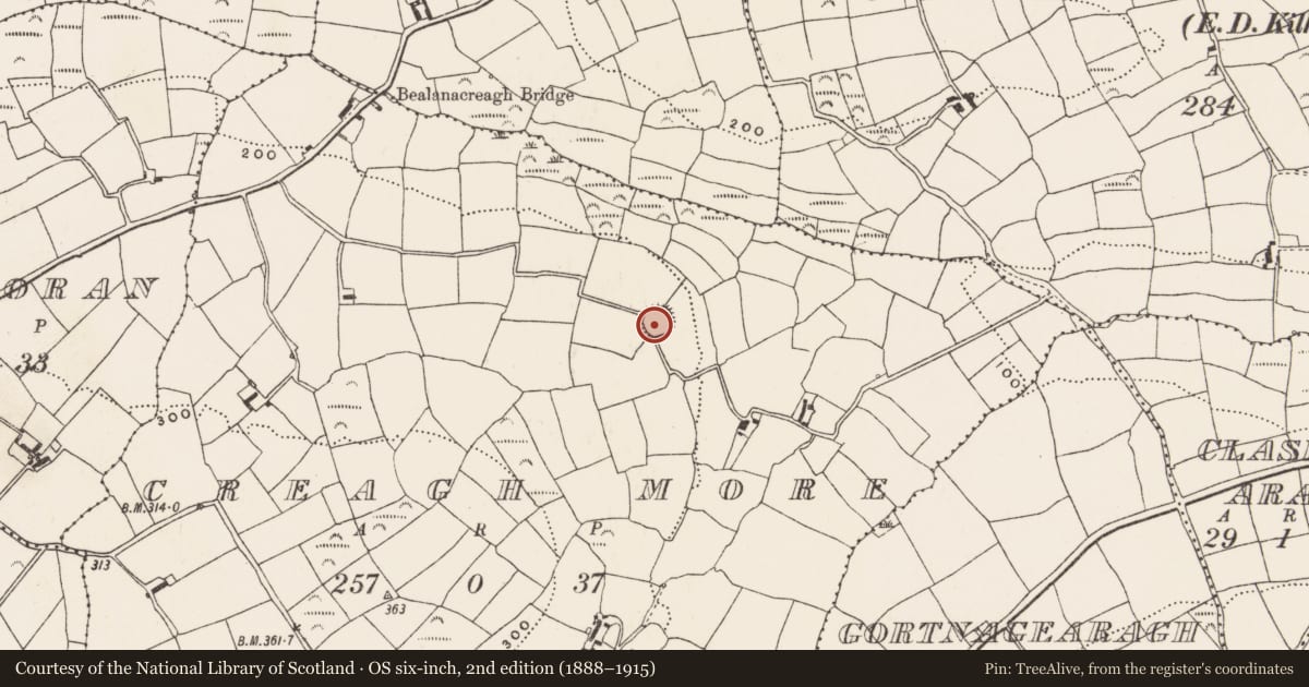 Ordnance Survey six-inch map, 2nd edition (1888–1915) covering the location of Ringfort - rath, Creagh More, County Cork, with a pin at the register's coordinates