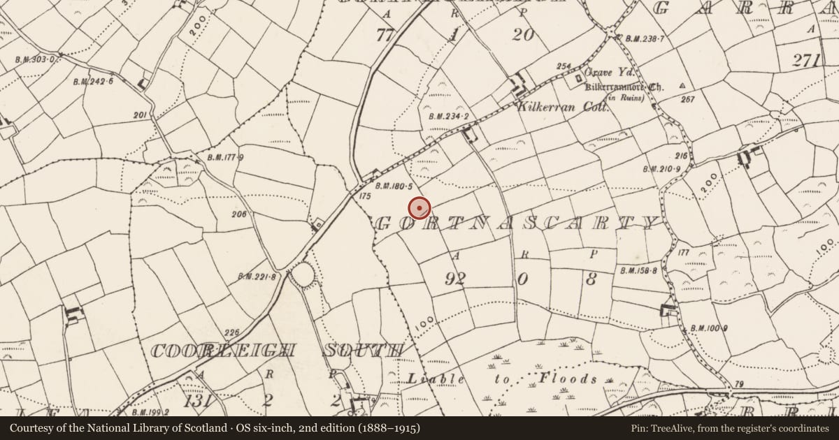 Ordnance Survey six-inch map, 2nd edition (1888–1915) covering the location of Fulacht fia, Gort Na Scairte, County Cork, with a pin at the register's coordinates