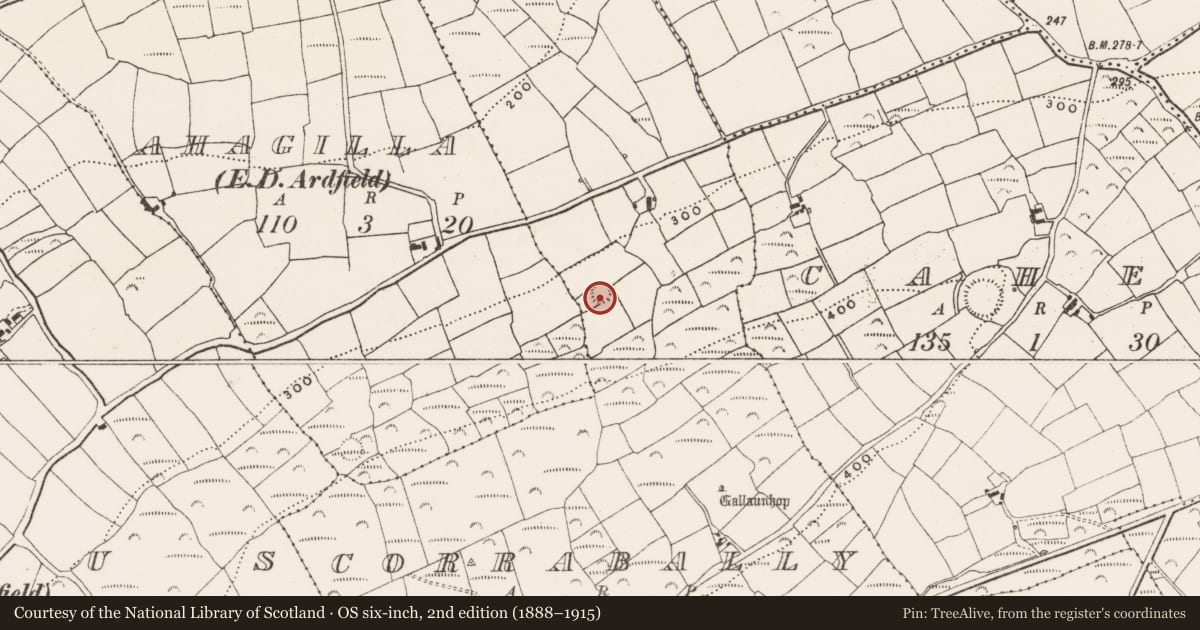 Ordnance Survey six-inch map, 2nd edition (1888–1915) covering the location of Souterrain, Corrabally (Ibane and Barryroe By., Ardfield Par.), County Cork, with a pin at the register's coordinates