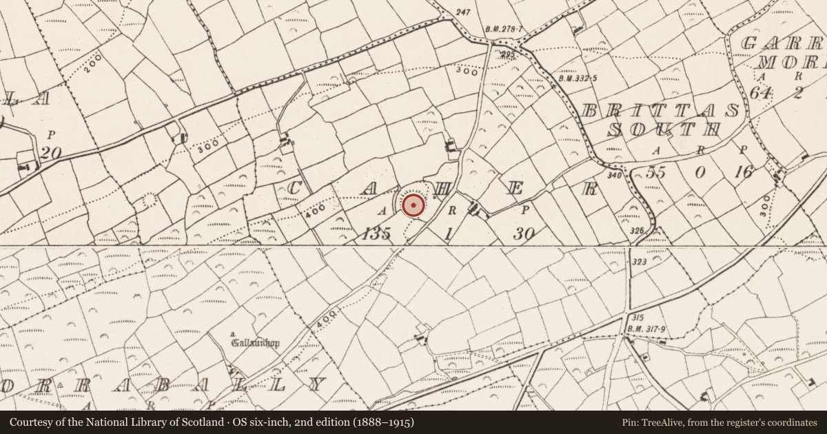 Ordnance Survey six-inch map, 2nd edition (1888–1915) covering the location of Ringfort - rath, Caher, County Cork, with a pin at the register's coordinates