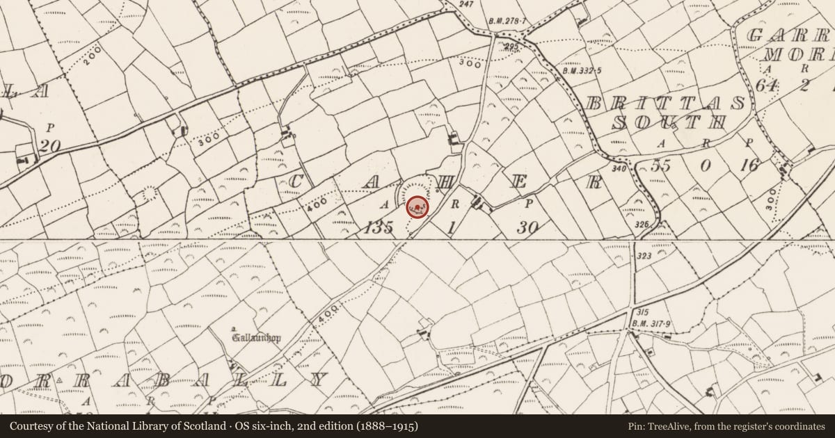Ordnance Survey six-inch map, 2nd edition (1888–1915) covering the location of Souterrain, Caher, County Cork, with a pin at the register's coordinates