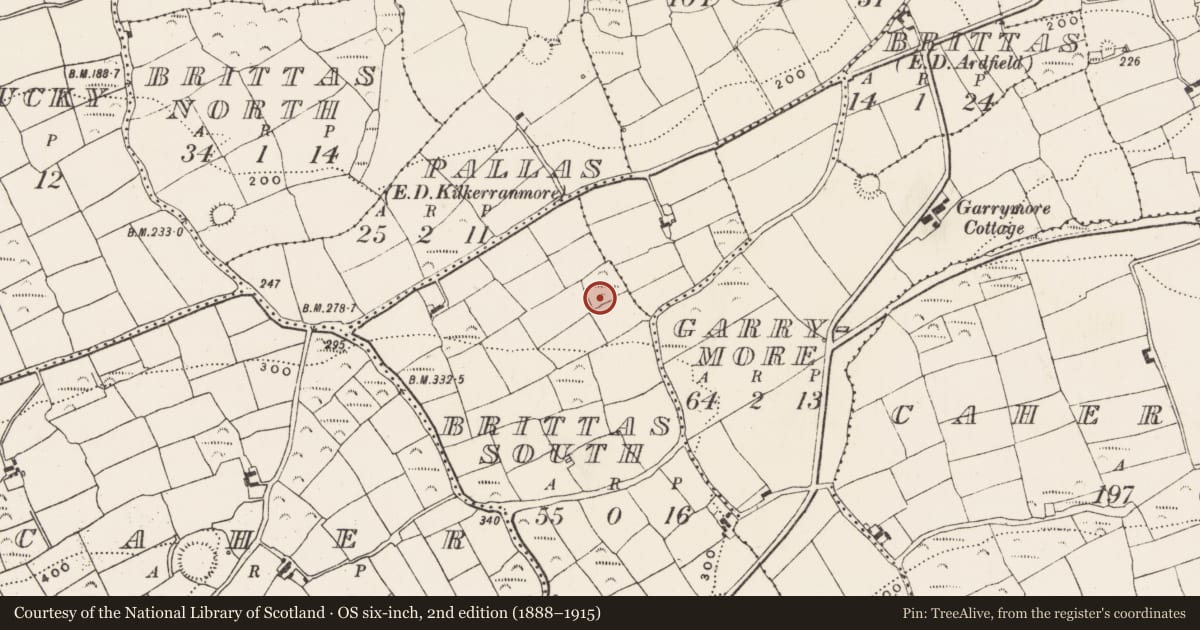 Ordnance Survey six-inch map, 2nd edition (1888–1915) covering the location of Moated site, Brittas South, County Cork, with a pin at the register's coordinates