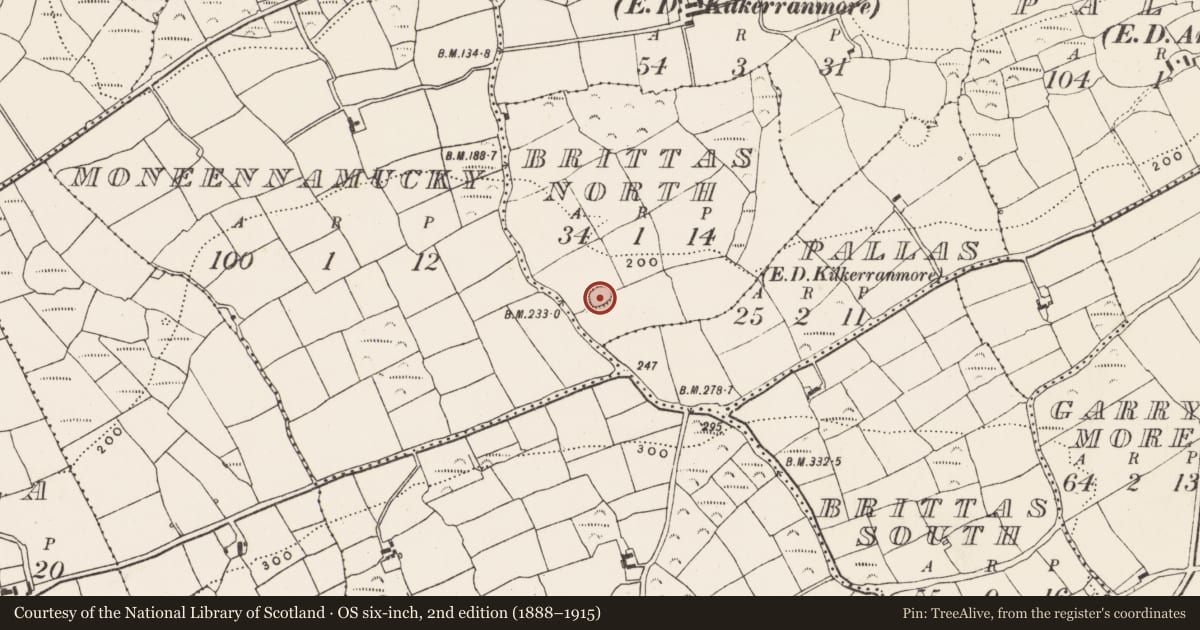 Ordnance Survey six-inch map, 2nd edition (1888–1915) covering the location of Ringfort - rath, Brittas North, County Cork, with a pin at the register's coordinates