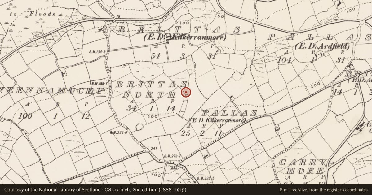 Ordnance Survey six-inch map, 2nd edition (1888–1915) covering the location of Fulacht fia, Brittas North, County Cork, with a pin at the register's coordinates