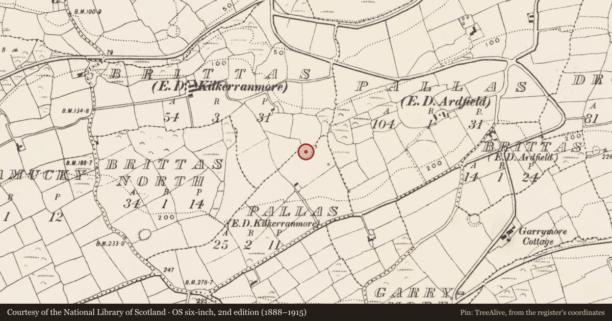 Ordnance Survey six-inch map, 2nd edition (1888–1915) covering the location of Ringfort - rath, Pallas, County Cork, with a pin at the register's coordinates