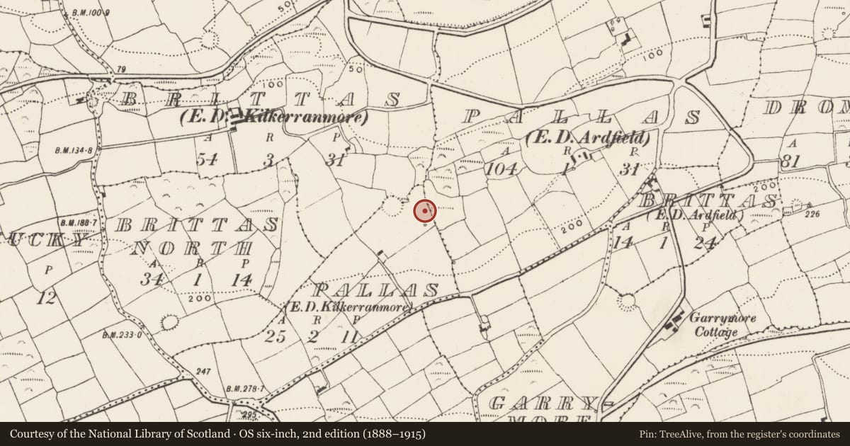 Ordnance Survey six-inch map, 2nd edition (1888–1915) covering the location of Fulacht fia, Pallas, County Cork, with a pin at the register's coordinates