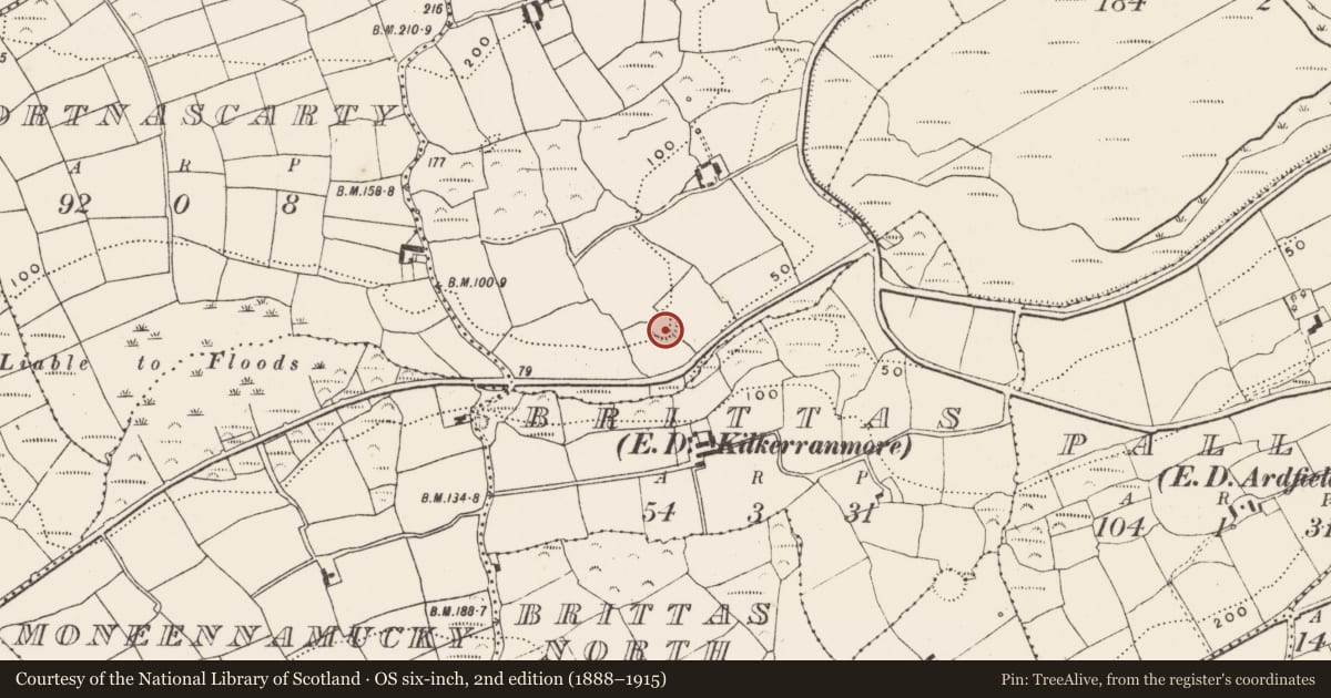 Ordnance Survey six-inch map, 2nd edition (1888–1915) covering the location of Ringfort - rath, Garranagoleen, County Cork, with a pin at the register's coordinates