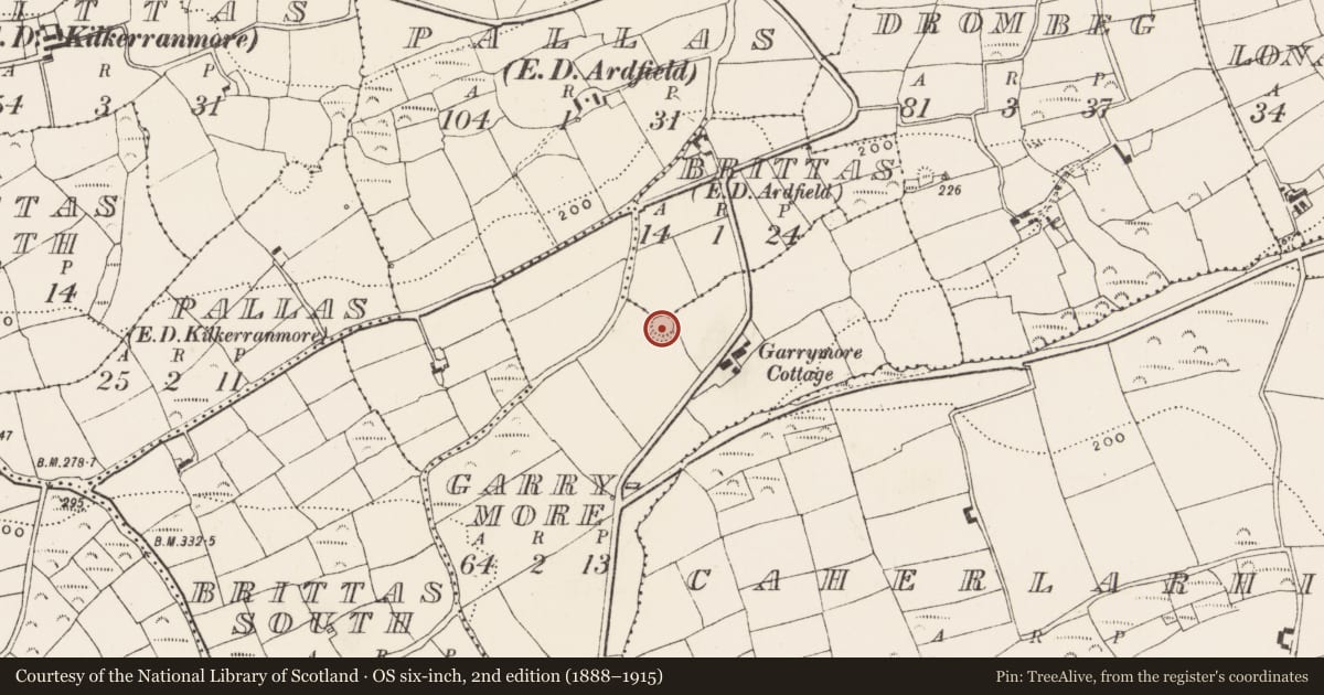 Ordnance Survey six-inch map, 2nd edition (1888–1915) covering the location of Ringfort - rath, Garrymore, County Cork, with a pin at the register's coordinates