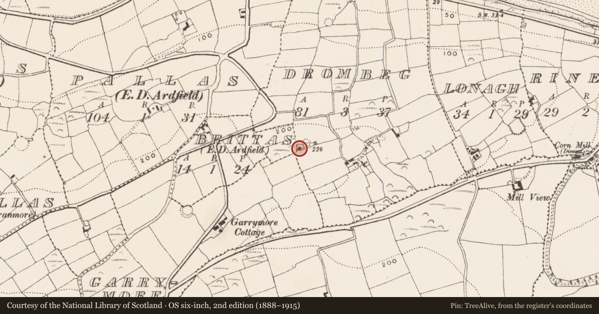 Ordnance Survey six-inch map, 2nd edition (1888–1915) covering the location of Burial ground, Drombeg, County Cork, with a pin at the register's coordinates