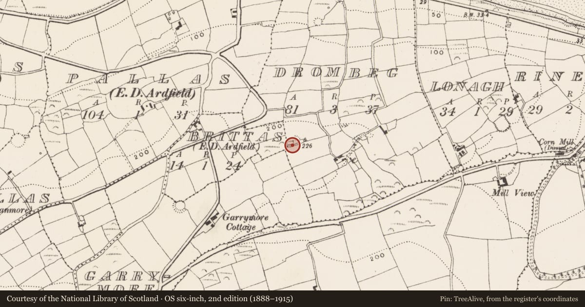 Ordnance Survey six-inch map, 2nd edition (1888–1915) covering the location of Mass-rock, Drombeg, County Cork, with a pin at the register's coordinates