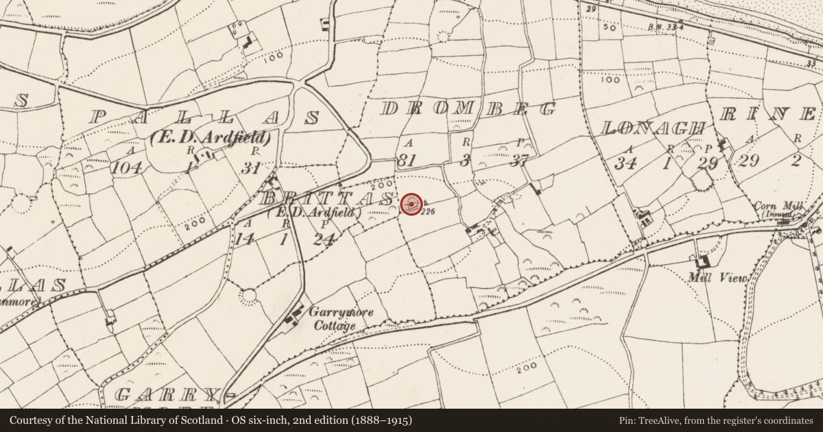 Ordnance Survey six-inch map, 2nd edition (1888–1915) covering the location of Ringfort - rath, Drombeg, County Cork, with a pin at the register's coordinates