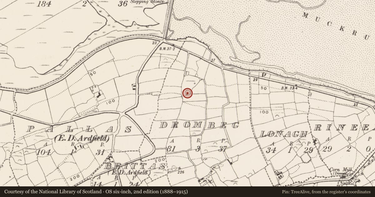 Ordnance Survey six-inch map, 2nd edition (1888–1915) covering the location of Ringfort - rath, Drombeg, County Cork, with a pin at the register's coordinates