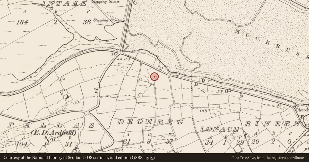 Ordnance Survey six-inch map, 2nd edition (1888–1915) covering the location of Fulacht fia, Drombeg, County Cork, with a pin at the register's coordinates