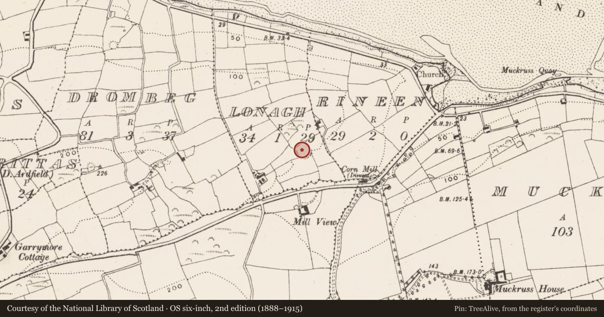 Ordnance Survey six-inch map, 2nd edition (1888–1915) covering the location of Souterrain, Lonagh, County Cork, with a pin at the register's coordinates