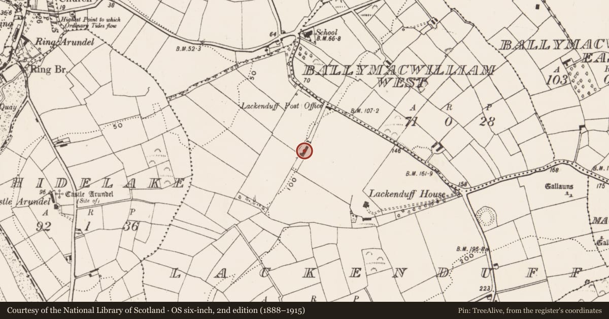 Ordnance Survey six-inch map, 2nd edition (1888–1915) covering the location of Corn store, Lackenduff, County Cork, with a pin at the register's coordinates