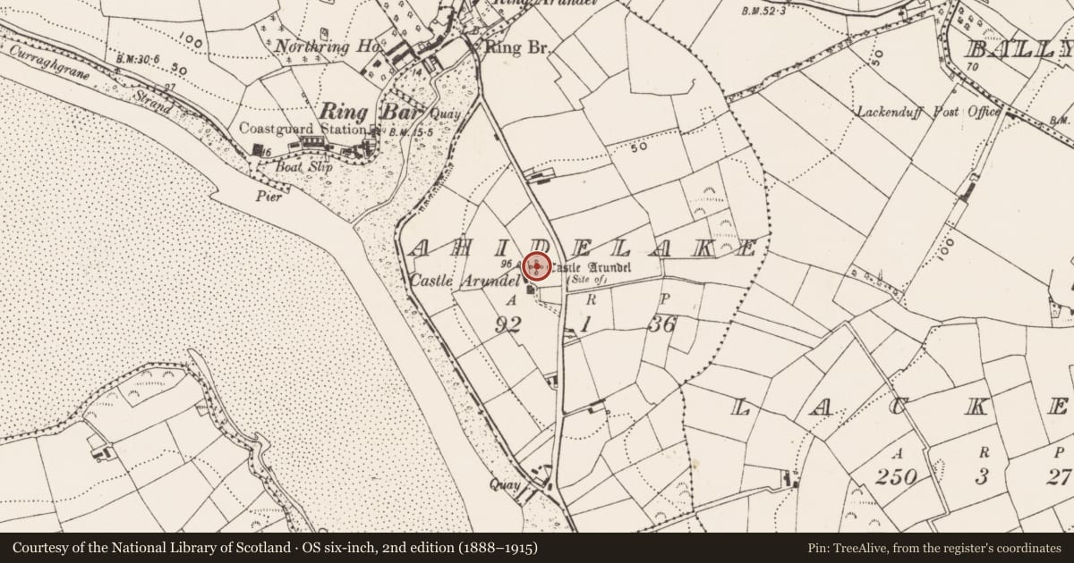 Ordnance Survey six-inch map, 2nd edition (1888–1915) covering the location of Castle - unclassified, Ahidelake, County Cork, with a pin at the register's coordinates