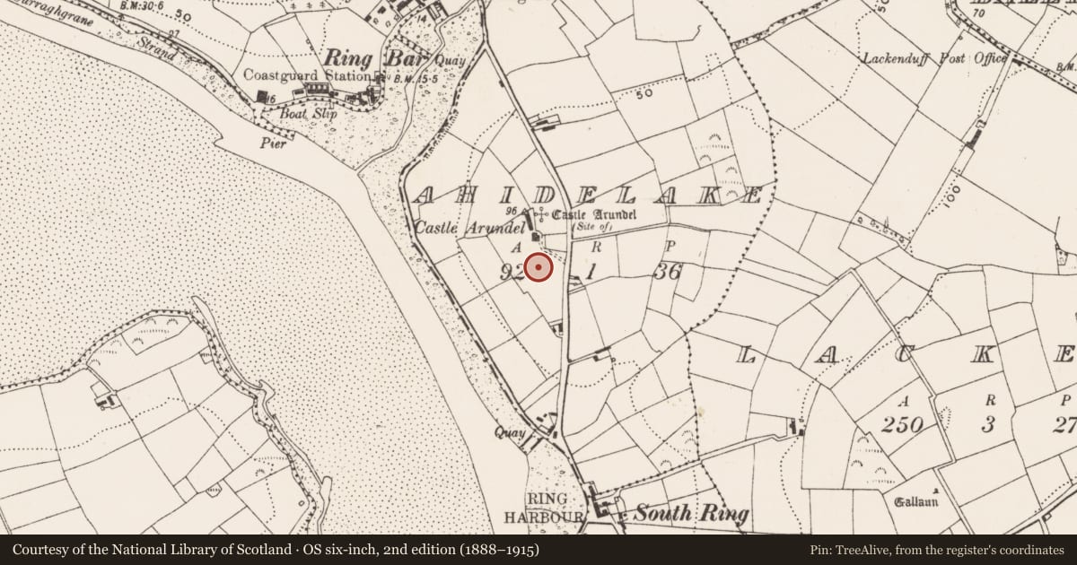 Ordnance Survey six-inch map, 2nd edition (1888–1915) covering the location of Standing stone, Ahidelake, County Cork, with a pin at the register's coordinates