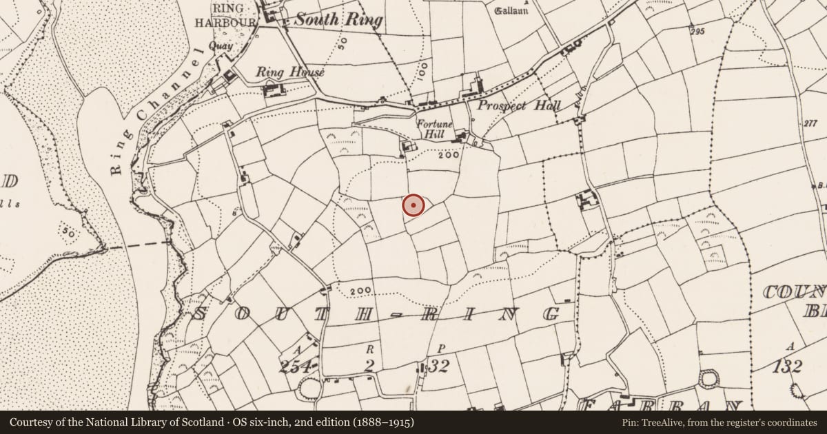 Ordnance Survey six-inch map, 2nd edition (1888–1915) covering the location of Ringfort - rath, South Ring, County Cork, with a pin at the register's coordinates