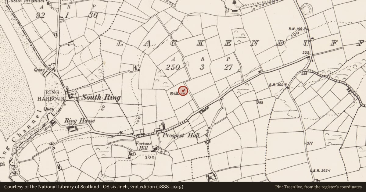 Ordnance Survey six-inch map, 2nd edition (1888–1915) covering the location of Standing stone, Lackenduff, County Cork, with a pin at the register's coordinates