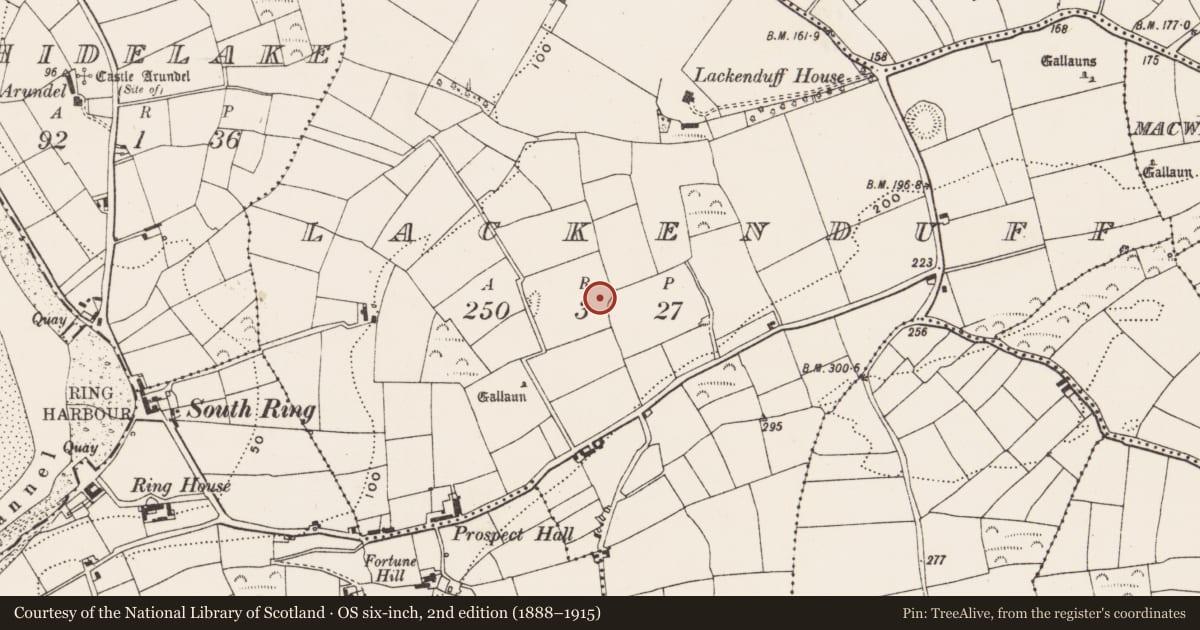 Ordnance Survey six-inch map, 2nd edition (1888–1915) covering the location of Souterrain, Lackenduff, County Cork, with a pin at the register's coordinates