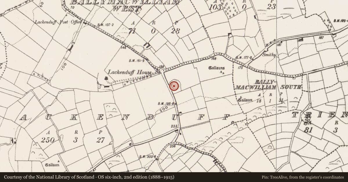 Ordnance Survey six-inch map, 2nd edition (1888–1915) covering the location of Ringfort - rath, Lackenduff, County Cork, with a pin at the register's coordinates