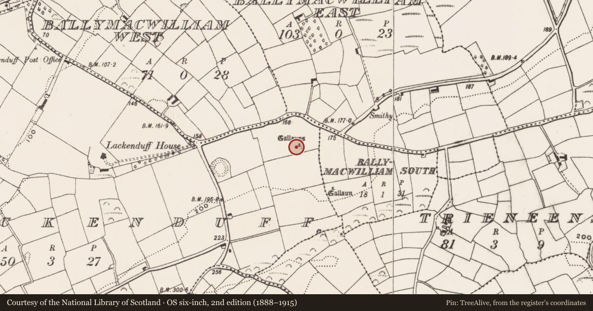 Ordnance Survey six-inch map, 2nd edition (1888–1915) covering the location of Standing stone, Lackenduff, County Cork, with a pin at the register's coordinates