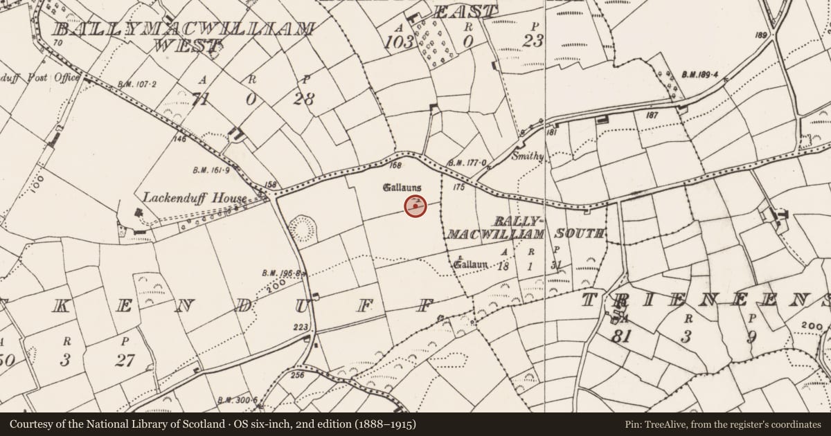 Ordnance Survey six-inch map, 2nd edition (1888–1915) covering the location of Standing stone, Lackenduff, County Cork, with a pin at the register's coordinates