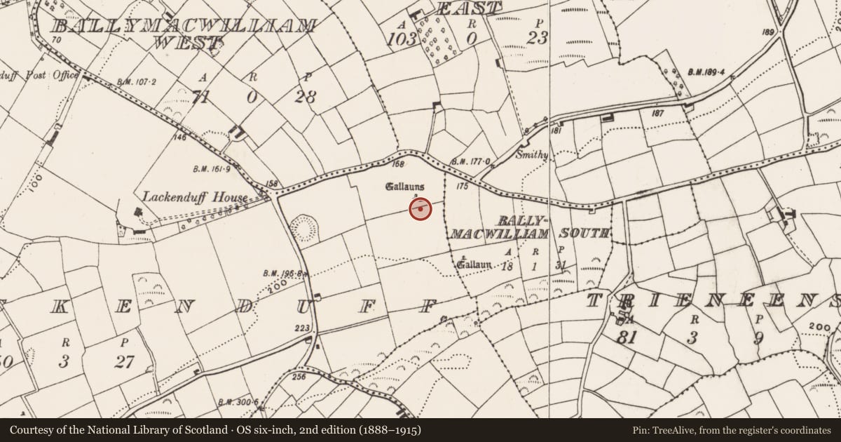 Ordnance Survey six-inch map, 2nd edition (1888–1915) covering the location of Standing stone, Lackenduff, County Cork, with a pin at the register's coordinates