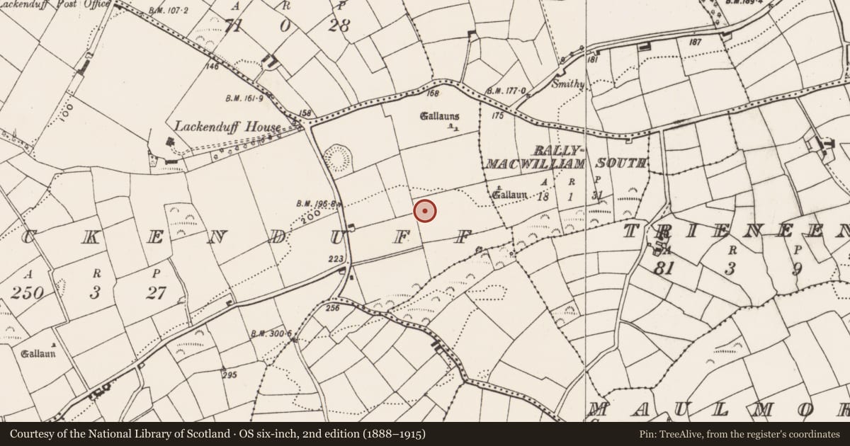 Ordnance Survey six-inch map, 2nd edition (1888–1915) covering the location of Standing stone, Lackenduff, County Cork, with a pin at the register's coordinates