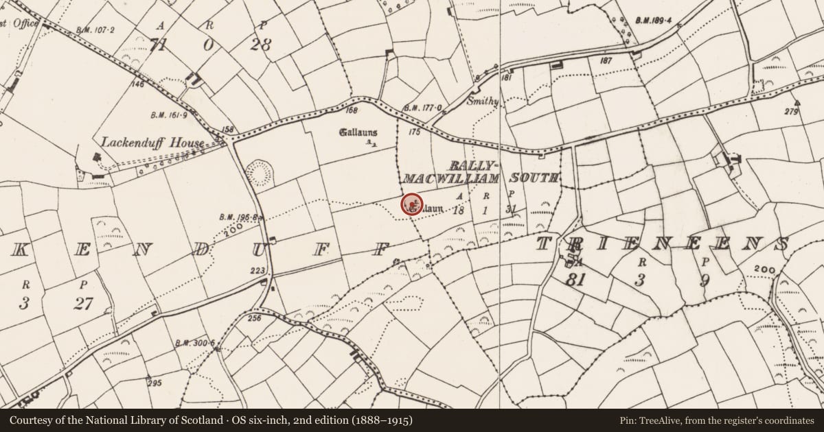 Ordnance Survey six-inch map, 2nd edition (1888–1915) covering the location of Standing stone, Ballymacwilliam South, County Cork, with a pin at the register's coordinates