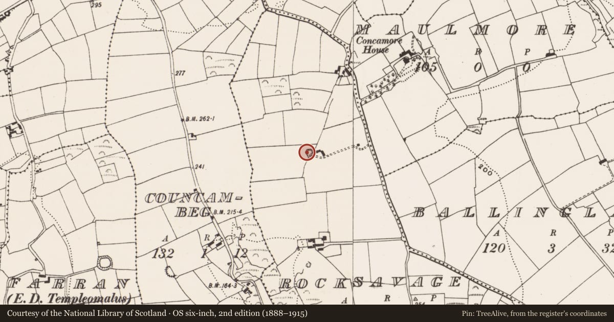 Ordnance Survey six-inch map, 2nd edition (1888–1915) covering the location of Quarry, Rocksavage, County Cork, with a pin at the register's coordinates