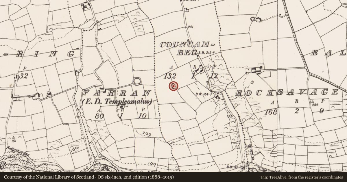 Ordnance Survey six-inch map, 2nd edition (1888–1915) covering the location of Ringfort - rath, Councambeg, County Cork, with a pin at the register's coordinates