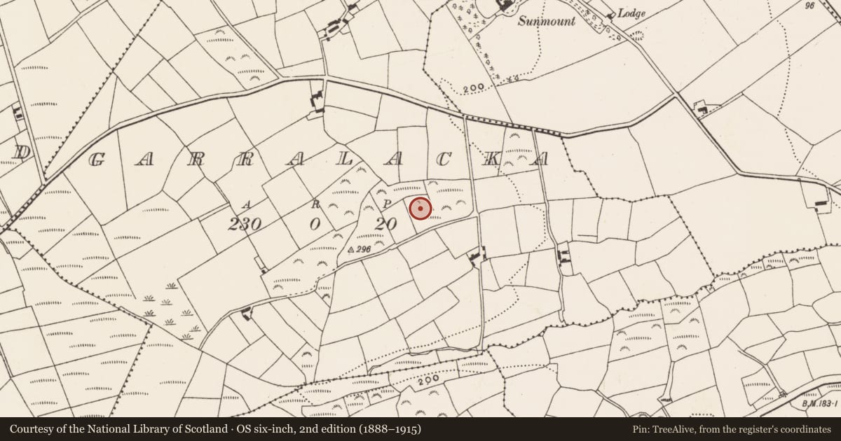 Ordnance Survey six-inch map, 2nd edition (1888–1915) covering the location of Ringfort - rath, Garralacka, County Cork, with a pin at the register's coordinates