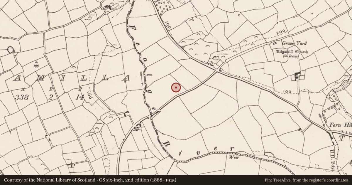 Ordnance Survey six-inch map, 2nd edition (1888–1915) covering the location of Ringfort - rath, Kilgarriff, County Cork, with a pin at the register's coordinates