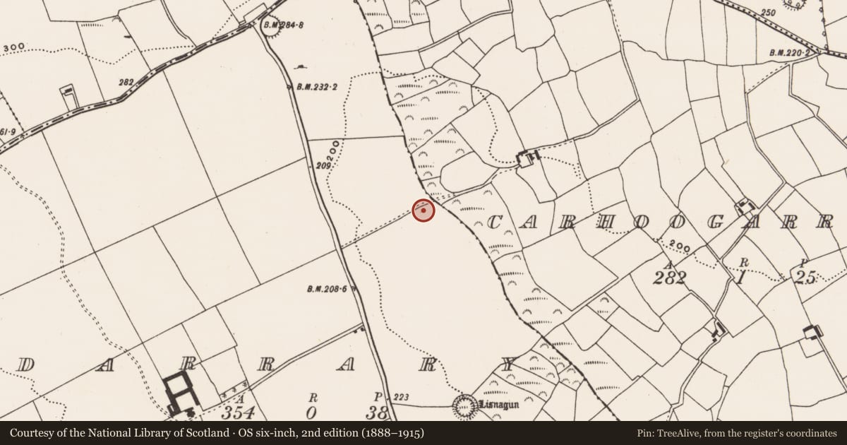 Ordnance Survey six-inch map, 2nd edition (1888–1915) covering the location of Fulacht fia, Darrary, County Cork, with a pin at the register's coordinates