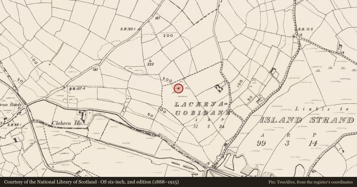 Ordnance Survey six-inch map, 2nd edition (1888–1915) covering the location of Standing stone, Lackenagobidane, County Cork, with a pin at the register's coordinates