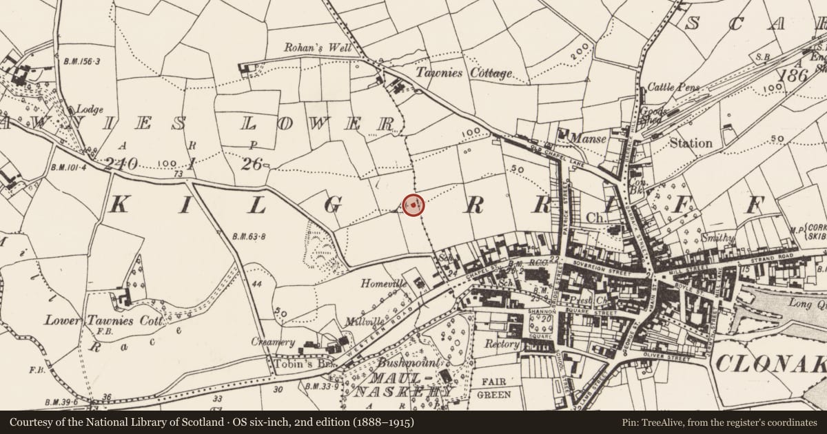 Ordnance Survey six-inch map, 2nd edition (1888–1915) covering the location of Standing stone, Tawnies Lower, County Cork, with a pin at the register's coordinates