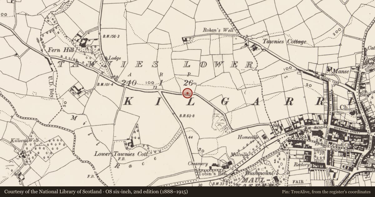 Ordnance Survey six-inch map, 2nd edition (1888–1915) covering the location of Mass-rock, Tawnies Lower, County Cork, with a pin at the register's coordinates