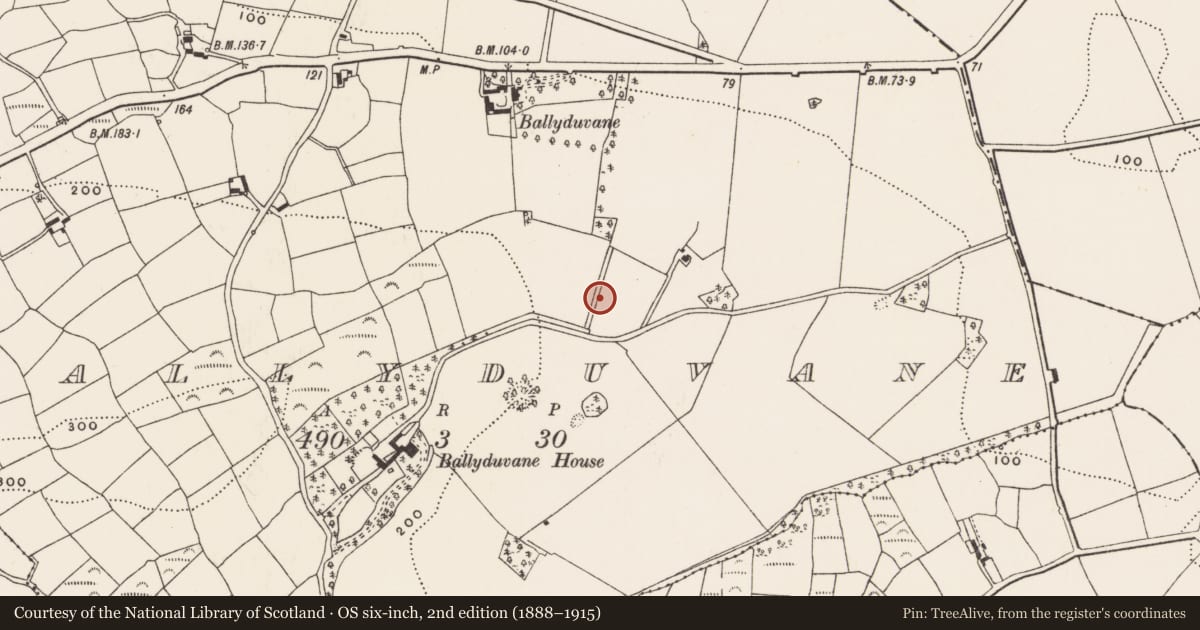 Ordnance Survey six-inch map, 2nd edition (1888–1915) covering the location of Souterrain, Ballyduvane (Ibane and Barryroe By., Kilgarriff Par.), County Cork, with a pin at the register's coordinates