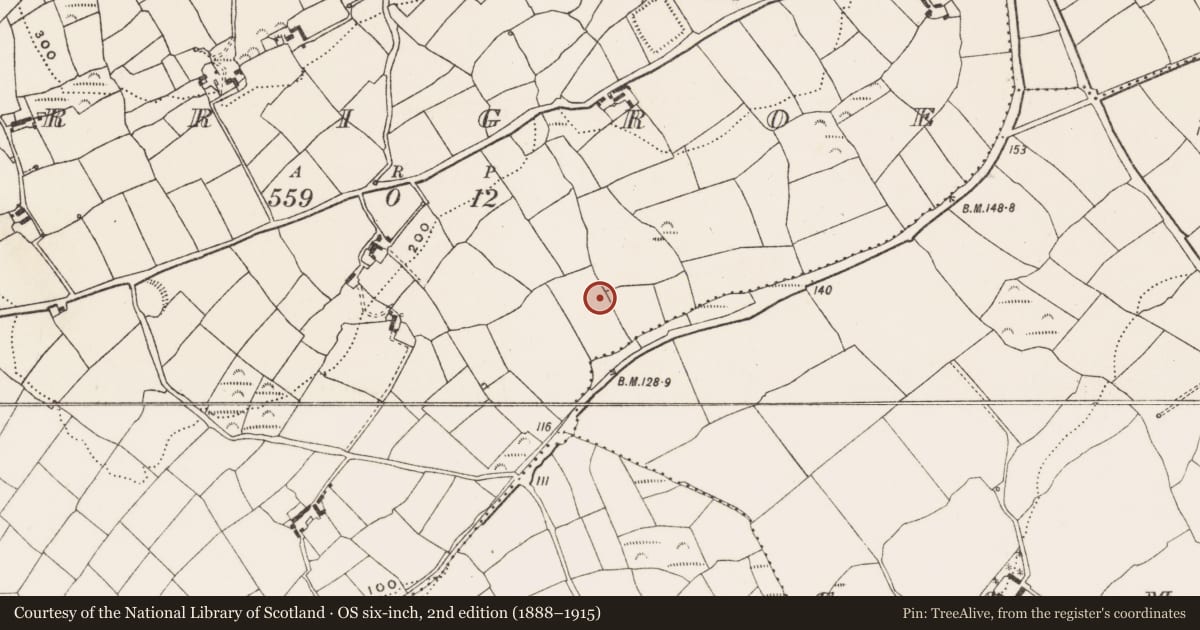 Ordnance Survey six-inch map, 2nd edition (1888–1915) covering the location of Burnt mound, Carrigroe, County Cork, with a pin at the register's coordinates