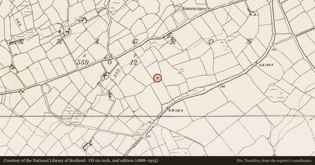 Ordnance Survey six-inch map, 2nd edition (1888–1915) covering the location of Burnt mound, Carrigroe, County Cork, with a pin at the register's coordinates