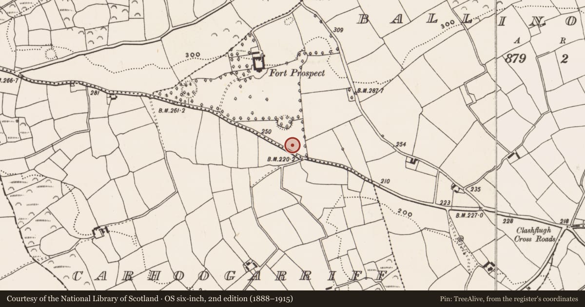 Ordnance Survey six-inch map, 2nd edition (1888–1915) covering the location of Fulacht fia, Ballinoroher (Carbery E. By., Templequinlan Par.), County Cork, with a pin at the register's coordinates