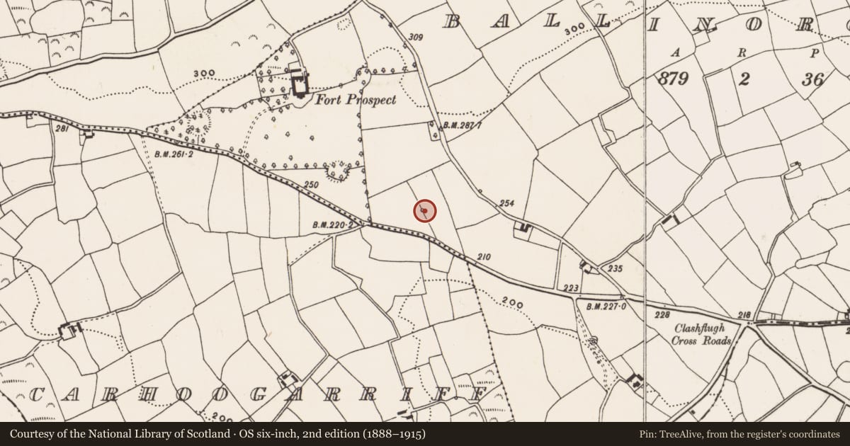 Ordnance Survey six-inch map, 2nd edition (1888–1915) covering the location of Fulacht fia, Ballinoroher (Carbery E. By., Templequinlan Par.), County Cork, with a pin at the register's coordinates