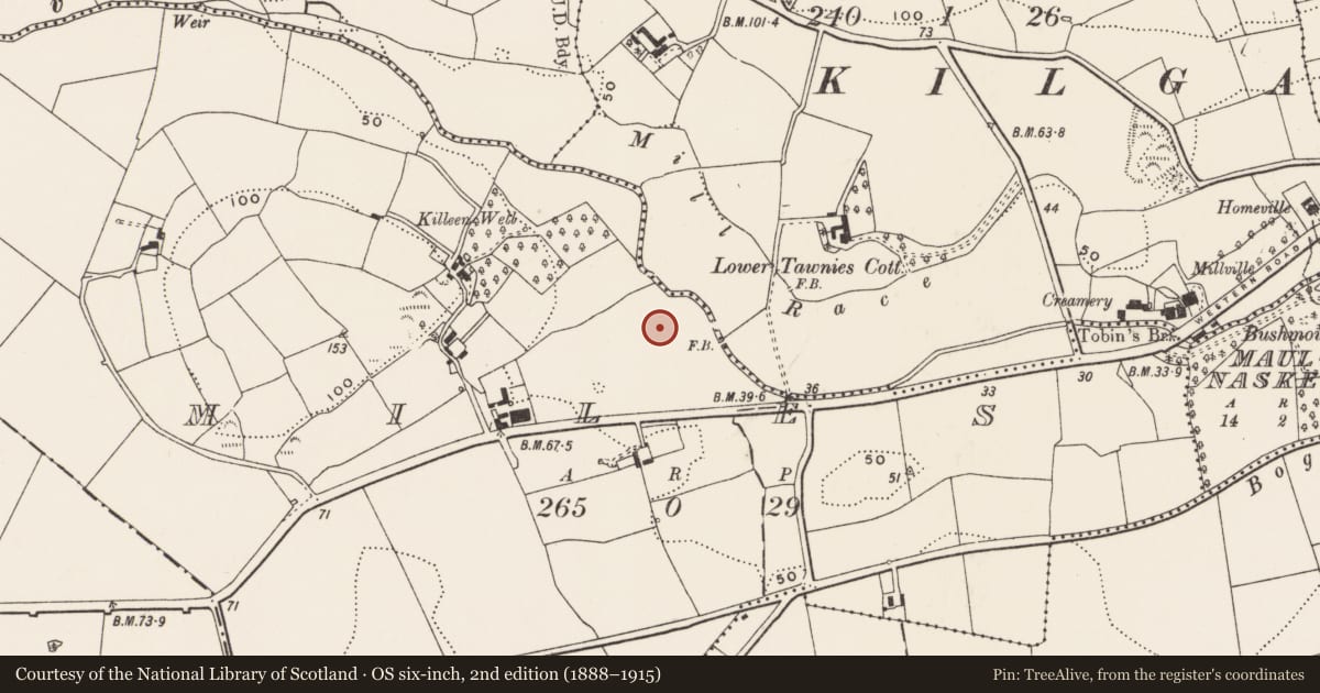 Ordnance Survey six-inch map, 2nd edition (1888–1915) covering the location of Fulacht fia, Miles, County Cork, with a pin at the register's coordinates
